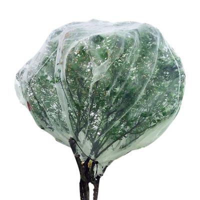 China 10 x 33 ft Viable Viable Garden Mesh Insect Netting Pest Barrier Thicken Cicada Mosquito Bird Hoard Animals Screen Net Barrier To Protect Themselves for sale