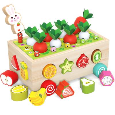 China Construction Toy Shape Height Classification Game Toy Set Wooden Toy Children's Fruit Farm Cognitive Matching Toy for sale