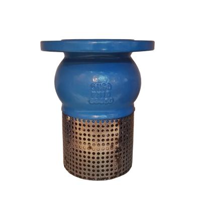 China DN200 PN10/16 General Ductile Iron GGG50 Foot Valve With Vertical Type Stainless Steel Screen Check Valve for sale