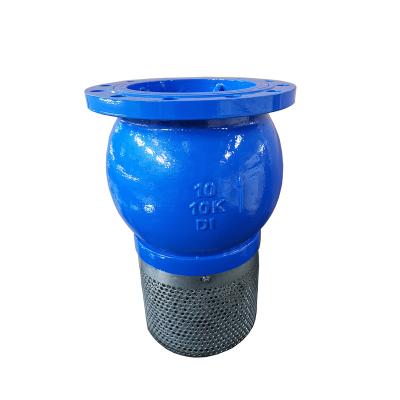 China General Body GG25 Cast Iron CI Lower Foot Valve Malleable ANSI Iron With Stainless Strainer for sale