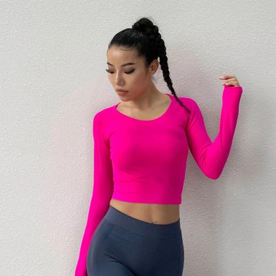 China 2022 Eation New Arrival Anti-UV Women Fitness Wear Crop Tops With Custom Label Yoga Clothing for sale