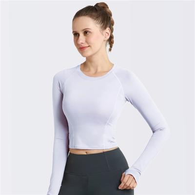 China Wholesale Eation Anti-UV Gym Wear Slim Gym Clothing Clothes Grow Top Shirt for sale