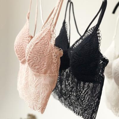 China Wire free triangle padded bra ready to ship soft padded lace halter top; Pink White Black Lace Triangle Bralette Soft Padded Camisoles for sale