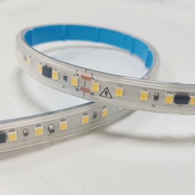 China ip67 50m smd2835 4000k 6500k ip65 110v led strip 220v 120led strip light waterproof flexible led lamp residential home ip67 50m for sale