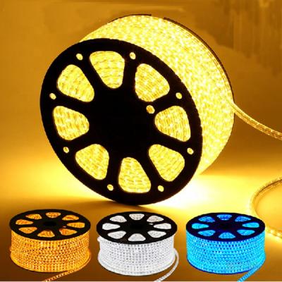 China Factory Price Residential 100 Meters 220V Rope 100M/roll Led Strip 3528 High Bright White Red Blue Green 60Leds/m Waterproof for sale