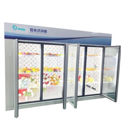 China Freezer Glass Door Container Factory Wholesale Price Freezer Door Chest Glass-Glass Freezer for sale