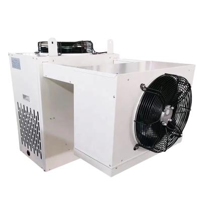 China Container Wholesale Price Monoblock Unit Refrigeration Unit Cooler Condensing Freezer for sale