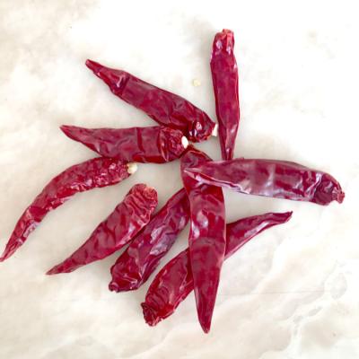 China Dried Bullet Red Chilli (Chaotian Chilli/Sanying Chilli) for sale