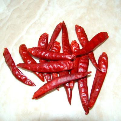 China Dry dry red tianying chili pepper for sale