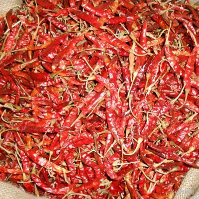 China 2021new S17 Dried Dried Stem Red Chilli for sale