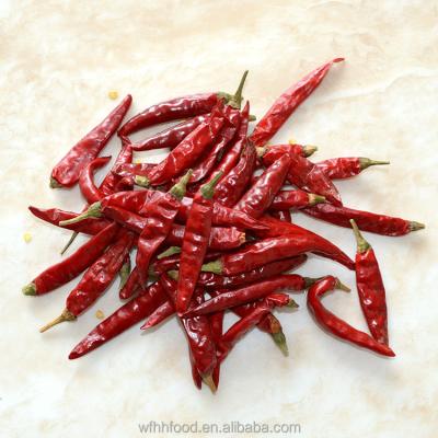 China Hot sale dried hot tianying chili pepper for sale