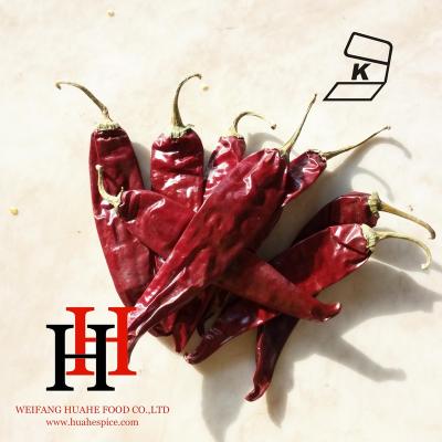 China Dried red jinta peppers for sale