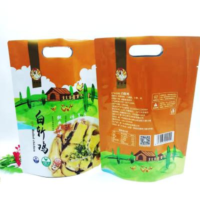 China Excellent Recyclable Alibaba Supplier Of Station Bags With Zipper Bags Polyester Film Zipper Bags for sale