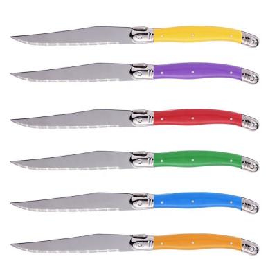 China Sustainable New Design Fashion 6 Colors Handle Stainless Steel BBQ Steak Knives Set With Gift Box for sale