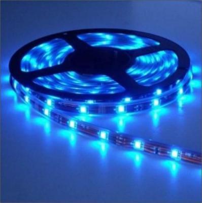 China 12V low voltage 3528 SMD LED strip light and Christmas light for door for sale