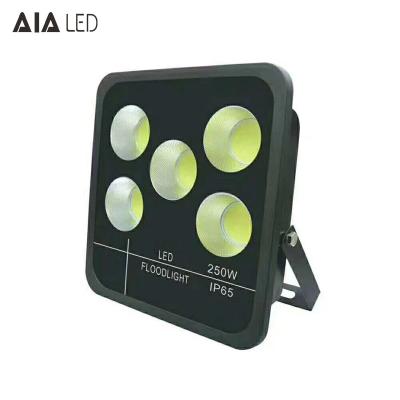 China New aluminum rainproof IP66 high watts led floodlight COB 250W LED Flood lighting for sale