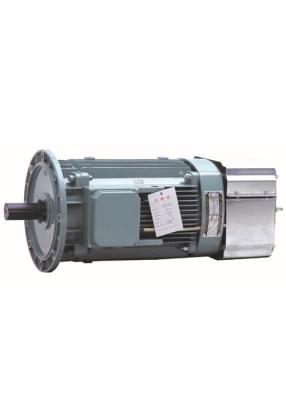 China 11KW que iça o motor assíncrono trifásico, motor bonde YZEJ132M-4 de 3 fases à venda