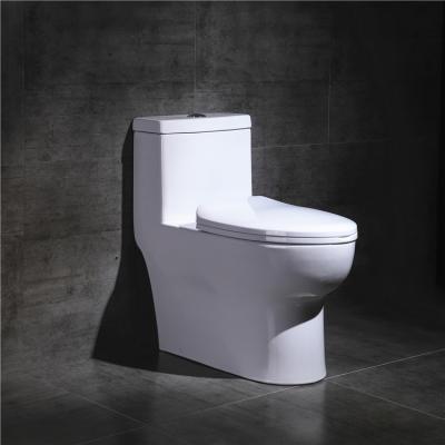 China Modern Sanitary Ware Floor Standing Siphonic Toilet Ceramic Single Piece Bathroom Toilet Bowl Double-flush Toilets for sale