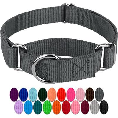 China Lights Martingale Collar - Heavy Duty Nylon Charcoal Martingale Dog Collar - 19 Vibrant Color Options for Small Medium Large Dogs for sale