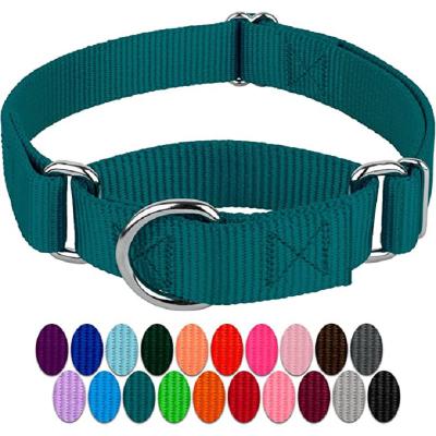 China Lights OEM Whole Sale Pets Accessories Suppliers Dog Collar Harness Various Color Dog Collar for sale