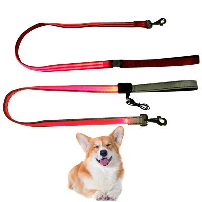 China NEW FASHION LUMINOUS FIBER Lights PET LEAD VISIBLE FULL PULL SOLAR ROPE DOG STRIP LIGHT ROPE IN NIGHT WALKS for sale