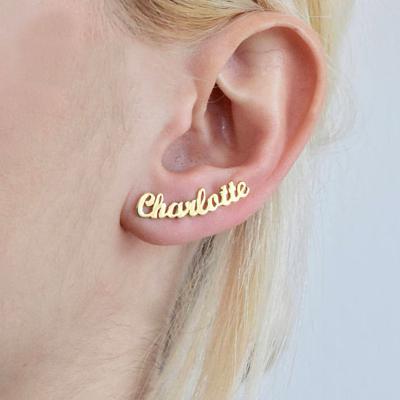 China Duoying 2021 OEM Punk Earrings Personalized Custom Nameplate Earrings For Women Drip Stud Earrings for sale