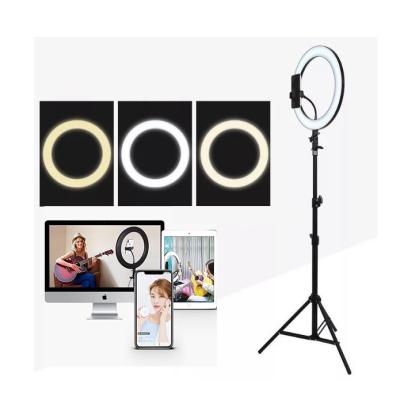 China Light 10 Inch Selfie Ring Light Stand Phone Holder with Tripod for sale