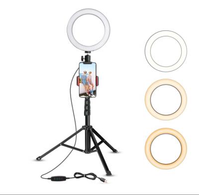 China Phone Selfie LED Ring Light With Tripod Stand Bestselling Beauty Makeup Mirror Stand for sale