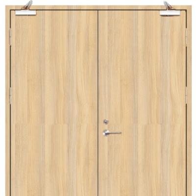 中国 Guangdong Modern Factory Customized Acoustic Double Doors Soundproof Door For Auditorium 販売のため