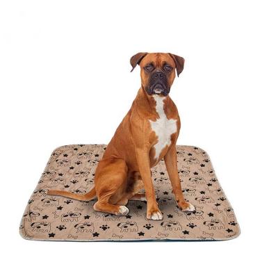 China FeeExport High Viable Pad Puppy Pad Absorbent Manufacturers Forming Puppy Pet Pee Pad For Dog for sale