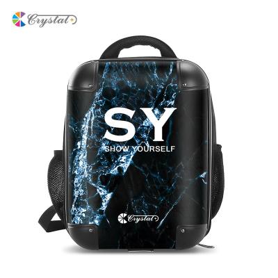 China High Quality Customized Waterproof Design Students School Bags Printing Transparent Clear Backpack for sale