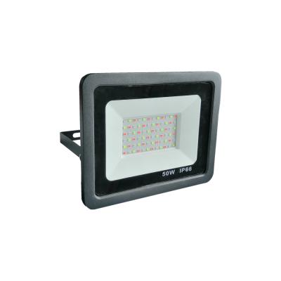 China Outdoor Garden Flood Light IP66 Dimmable LED RGB 50 Watts 100 Watt Garden Remote Control for sale