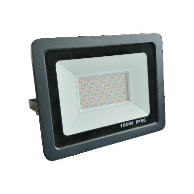 China IP66 Dimmable RGB LED Outdoor Garden Flood Light 50 Watts 100 Watt Garden Remote Control for sale