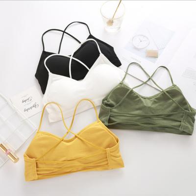 China QUICK DRY Drop Shipping Beautiful Fit-Back Straps Bumble Wrap Tube Wireless Women's Sports Bra Chest Bandeau Top Bra for sale