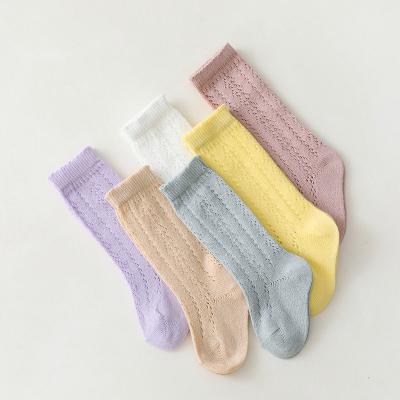 China Princess Baby Stocking Thin Mesh Breathable Cotton Knee High Summer Fashion Hot Sale Solid Cute Socks for sale