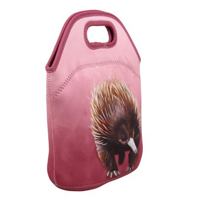 China Waterproof Fashion Portable Cooler Bags Insulated Reusable Women Adult Sandwich Kid Lunch Bags for Work School for sale