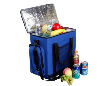 China 12V Travel Waterproof Professional Foldable Thermal Mini Freezer Refrigerator Car Cooler OEM China Supplier 14L Bag DC Car For Picnic for sale