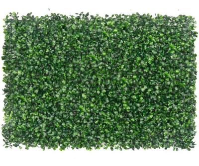 China FencePlant Eco-friendly Artificial Wall Hedge Plastic Boxwood Hedge For Home Decoration for sale