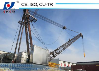 China Builidng Construction Tower Crane 3ton Derrick Crane Roof Crane WD2420 for sale