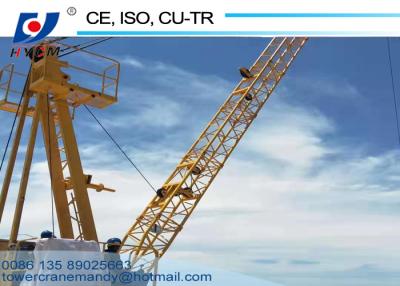 China No Mast Crane WD2420 Derrick Crane 380V/50hz Dismantle Tower Crane with Operation and Maintenance for sale