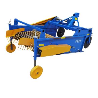 China Agricultural Equipment Tractor Garlic Chain PTO Driven Sweet Potato Harvester For Sale for sale