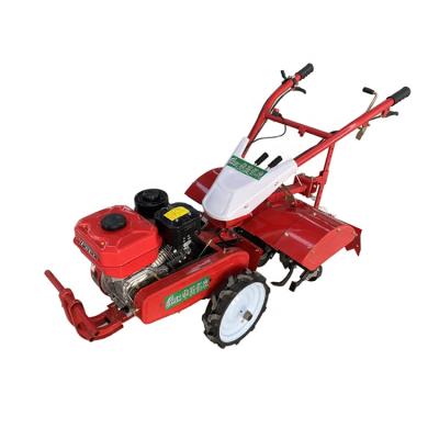 China Agricultural Farms Equipment Compact 170 Gasoline Engine Tillage Machine Power Tiller for sale