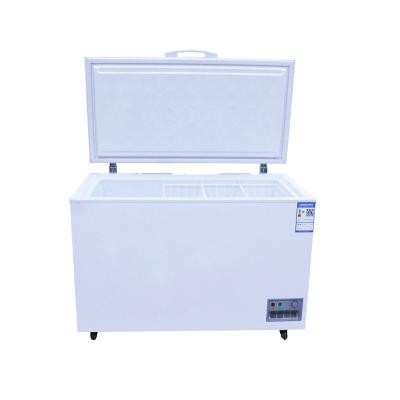 China Single-temperature -20c Degree Refrigerator Ultra Low Temperature Refrigerator Finishing Spruce Refrigerator for sale