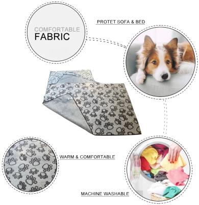 China Viable Wholesale Pet Towel Microfiber Microfiber Towel Double Bag Microfiber Pet Towel Factory OEM Microfiber Pet Towel for sale