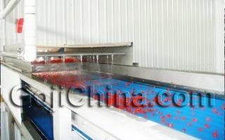 Verified China supplier - Ningxia Qixiang Biologic Foodstuff Co., Ltd.