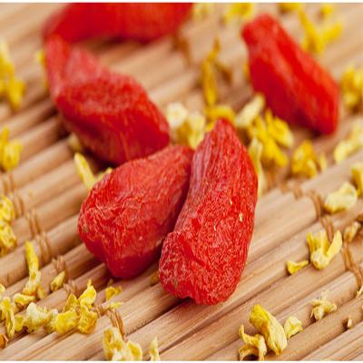 China Best Dried Nuts Dried Organic Goji Berries Lycium Barbarum for sale