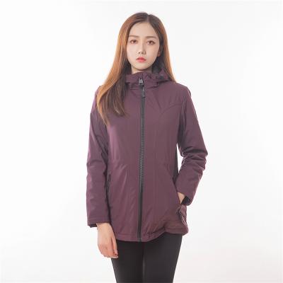 China Manufacturer Custom Logo Women Breathable Purple Cropped Zip Fleece Striped Hooded Jacket for sale