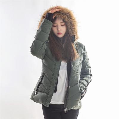 China 2021 Winter Jackets Ladies Manufacturer Polyester Padding Stripper Womens Windproof Jackets With Hood for sale