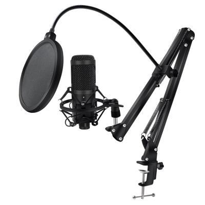 China Mikrofon Handheld Microphone BM750 Studio Condenser MIC for KTV Radio Braodcasting Singing Computer Recording Microphone for sale