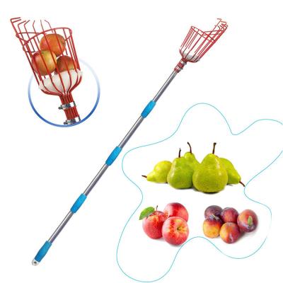 China Telescopic Height 13ft Apple Pear Harvester Weight Adjustable Stainless Steel Pole Fruit Picker Tool Orange for sale